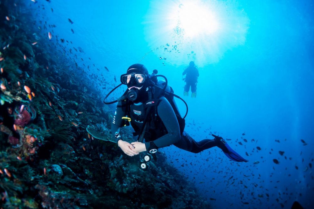 Дайвинга «Diving Center Cayo largo del sur»