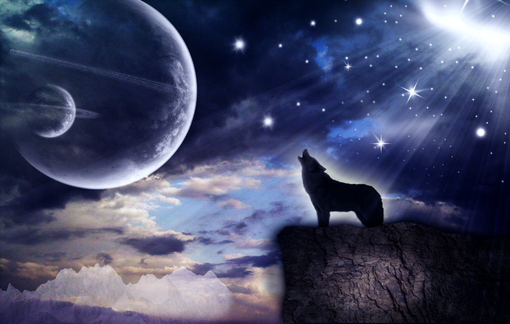 Красивый волк Луна