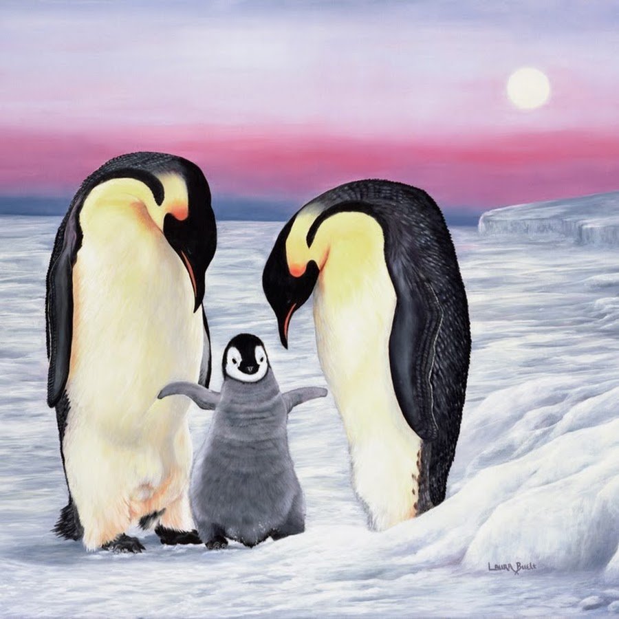 Кот среди пингвинов