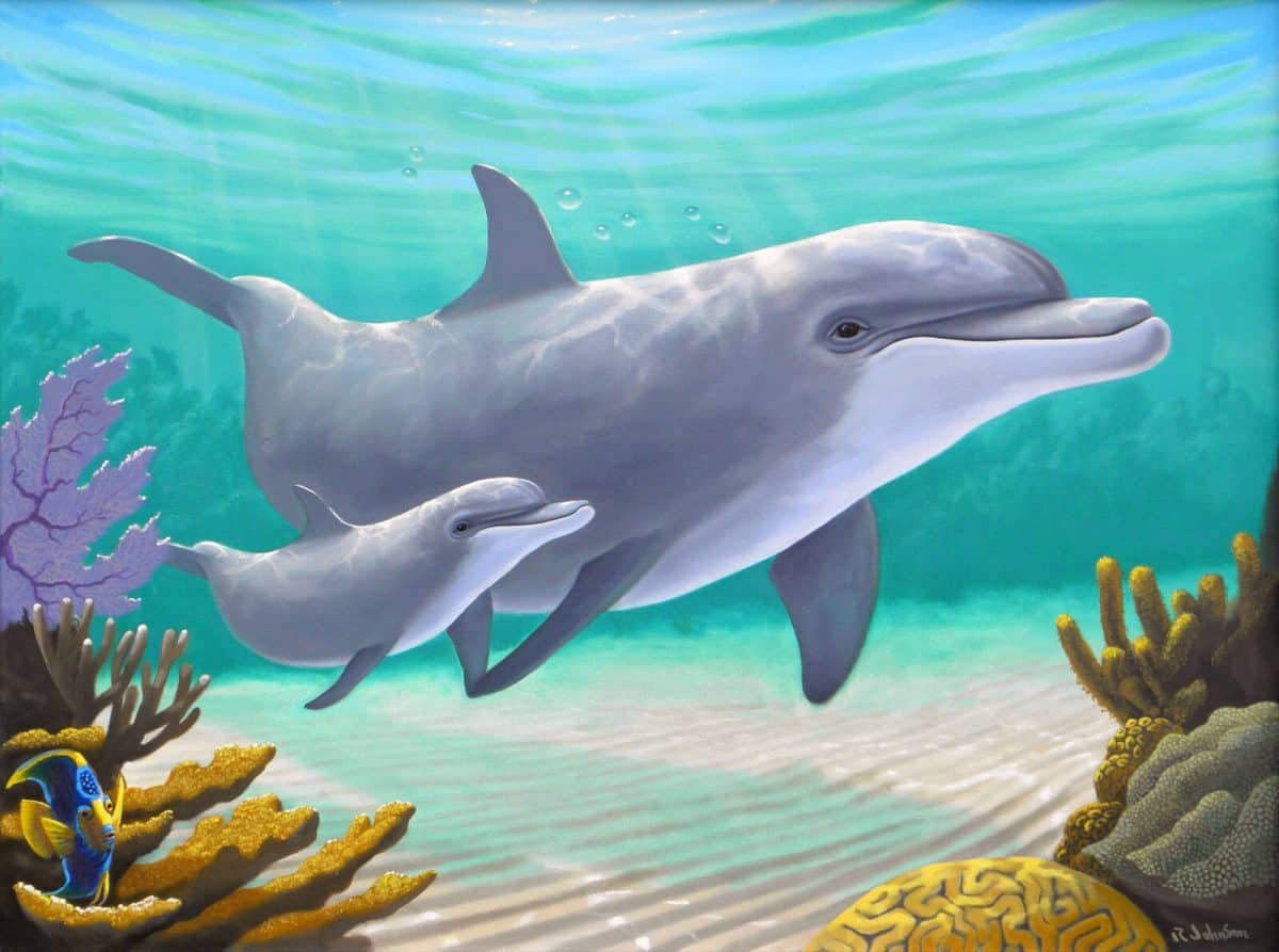 Дельфин с дельфиненком картина