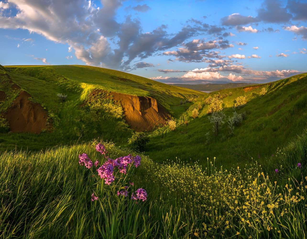 Край изображения. Федор Лашков природа Ставропольского края. Степи Ставропольского края. Чапурниковская балка фото. Балка второй Лог Ставрополь.