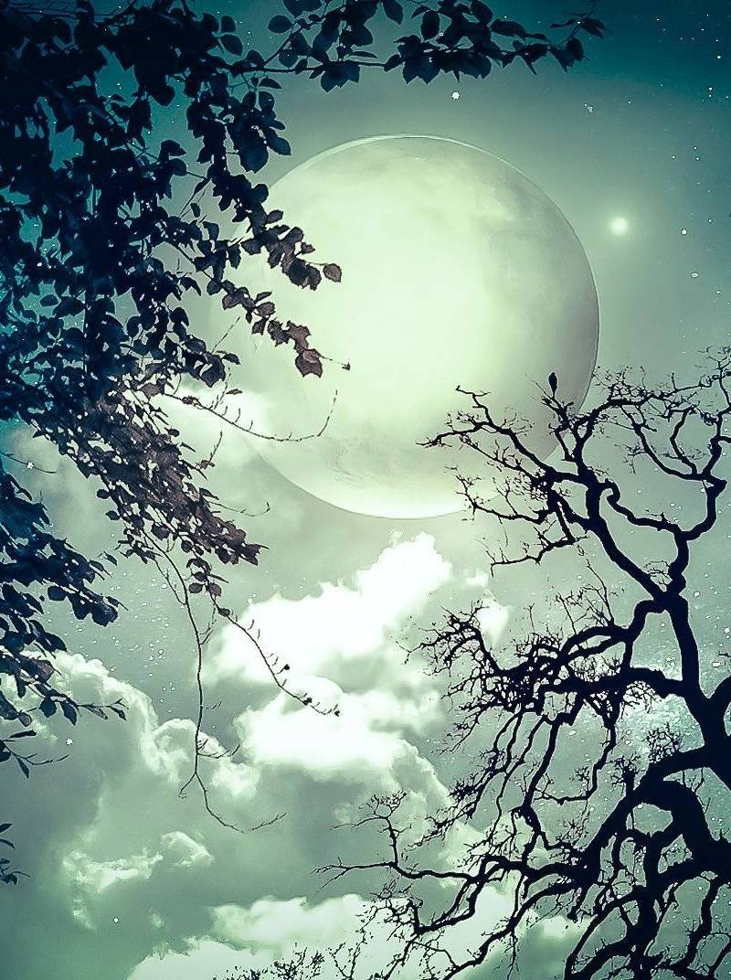 Бордовая Луна