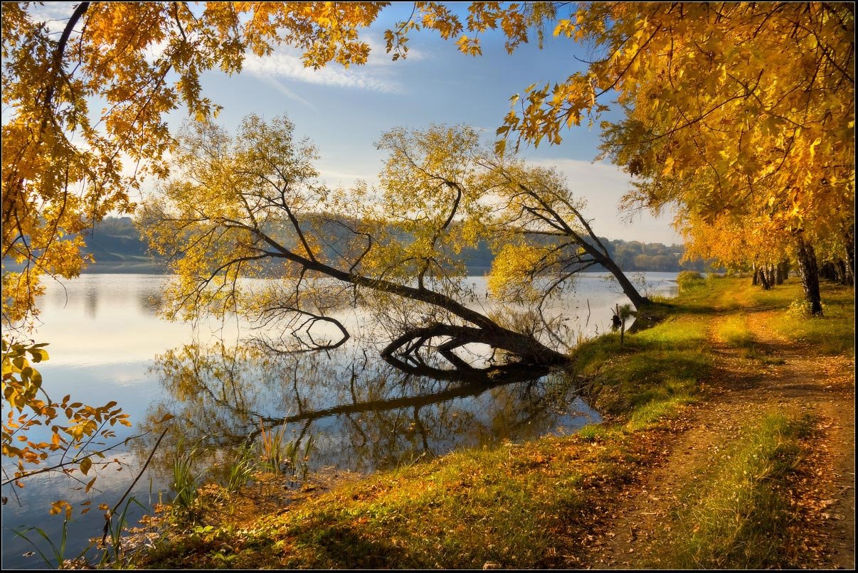 Осенний пейзаж картинки