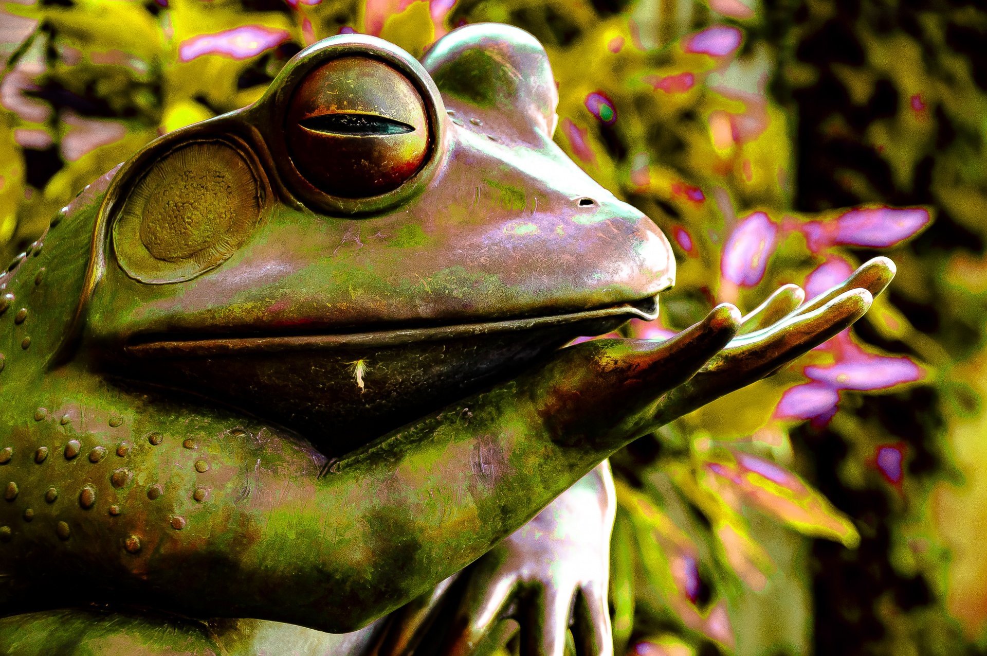 Bullfrog жаба