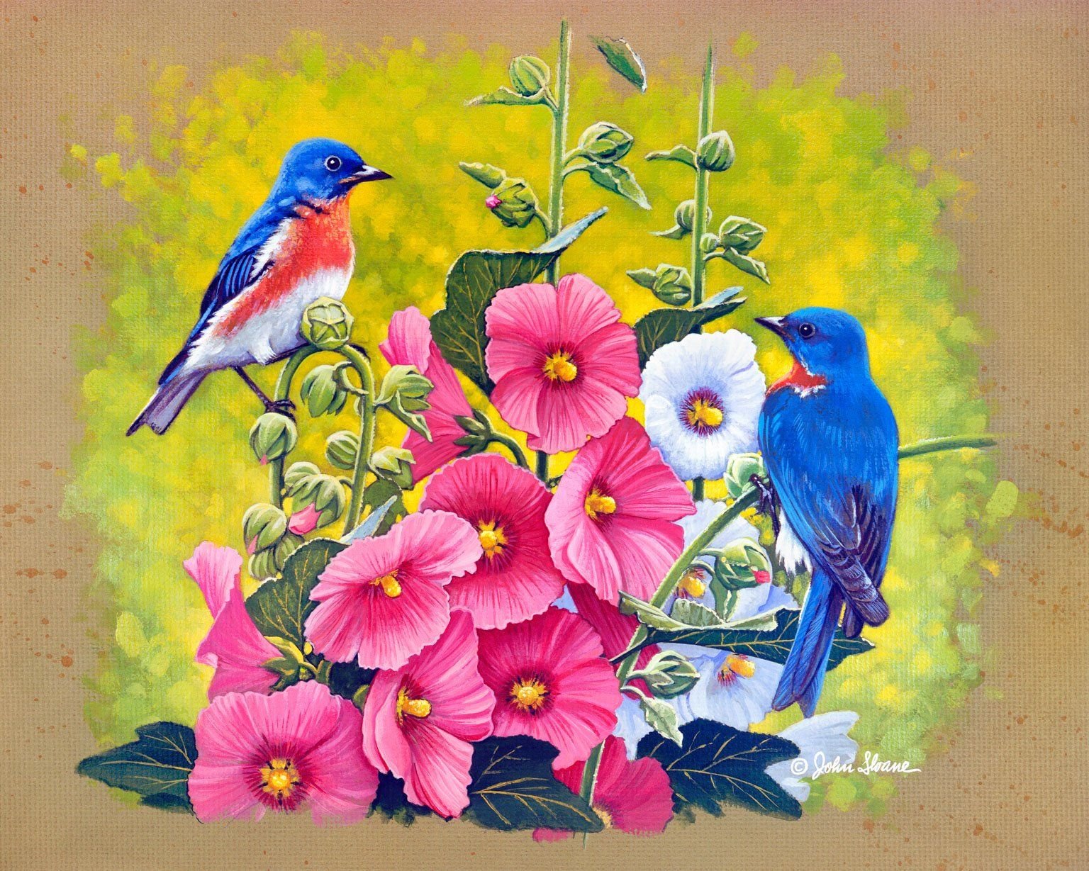 красивые картинки с птицами и цветами