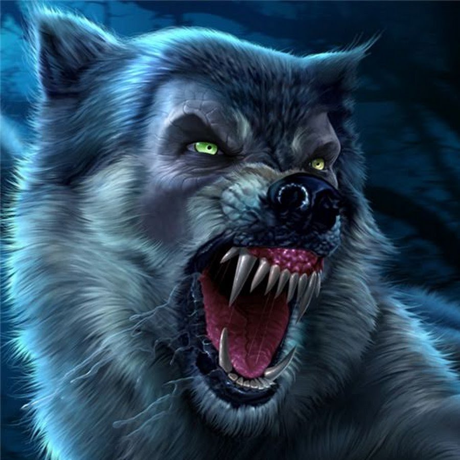 Волк В Ярости