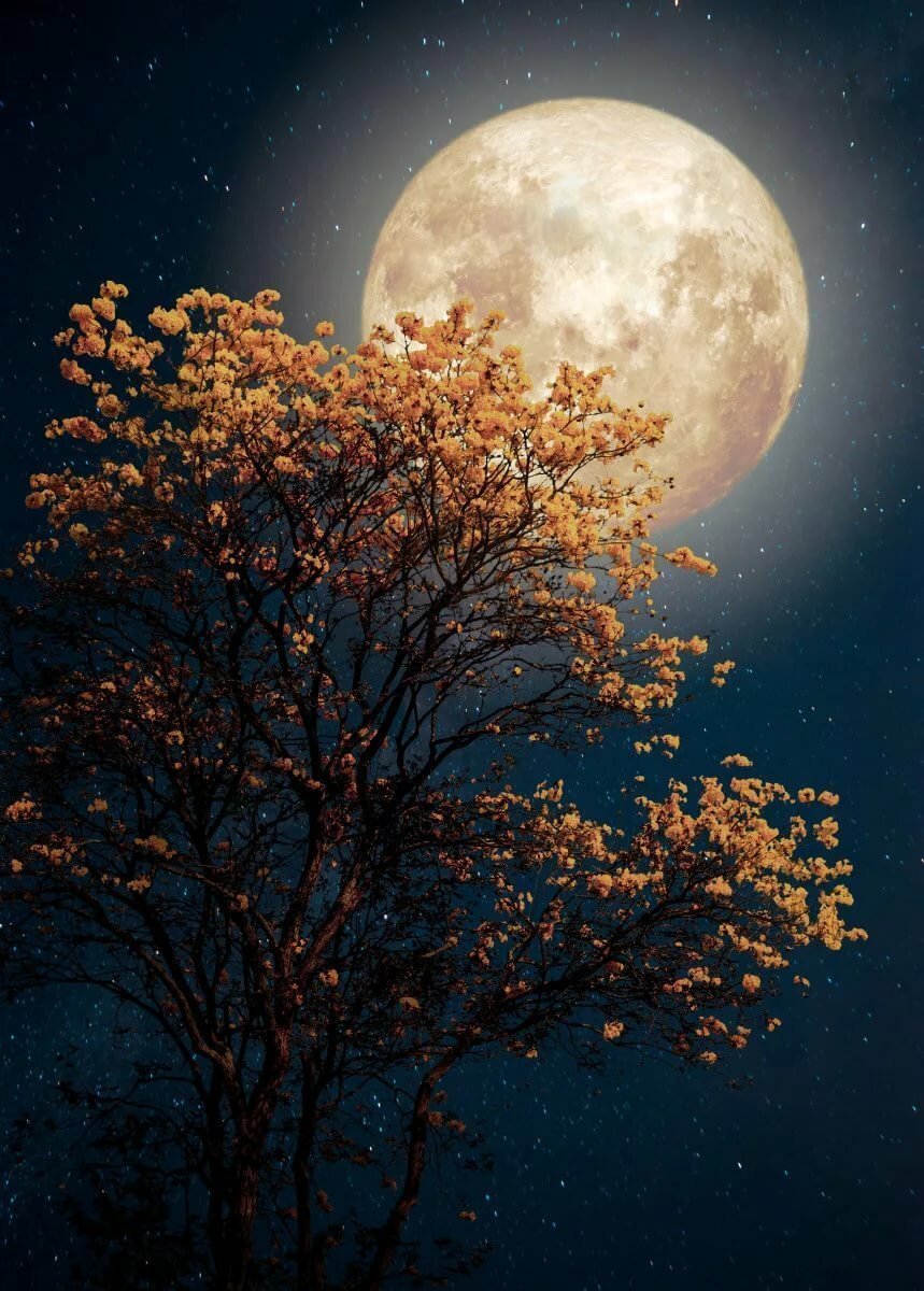 Спокойной ночи небо Луна