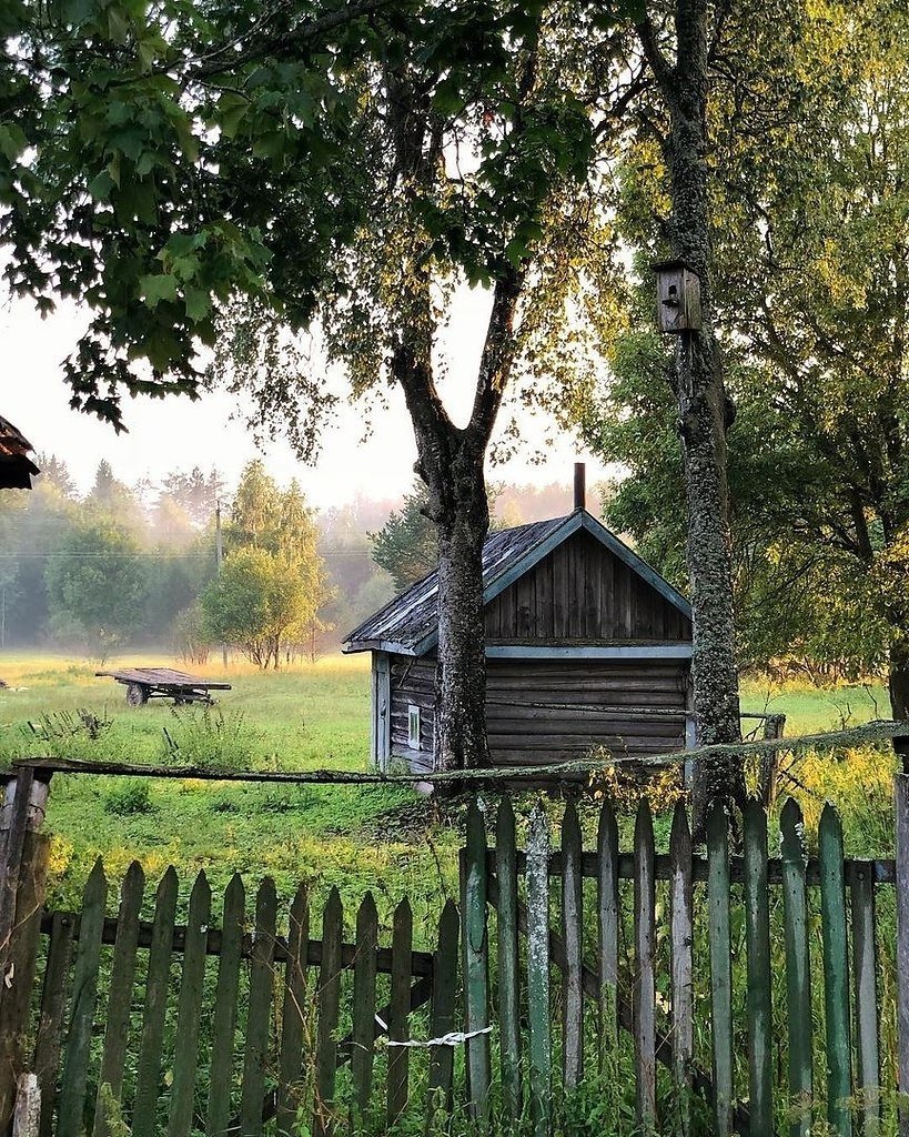 Художник Михаил Бровкин картины дом в деревне