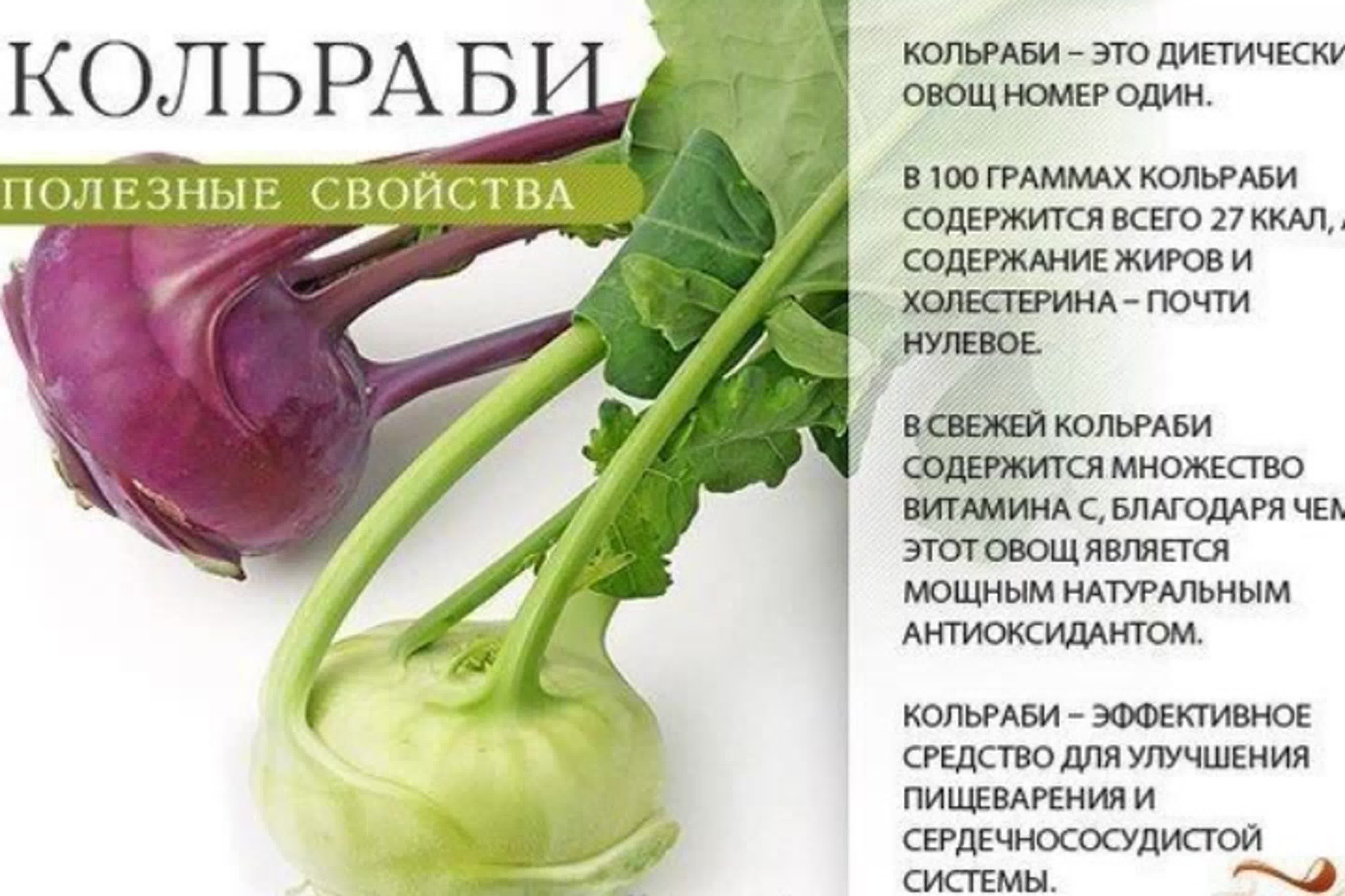 Капусту можно кушать. Полезные свойства овощей. Кольраби капуста полезные свойства. Кольраби полезные свойства. Капуста кольраби характеристика.