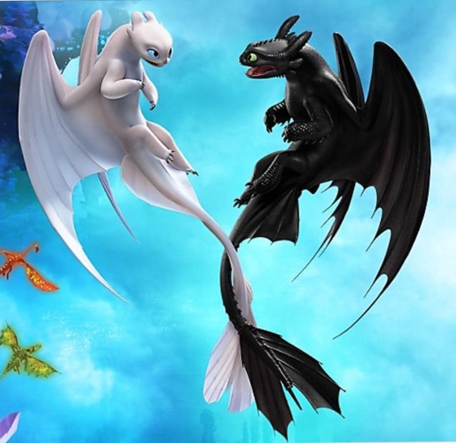 Toothless Dragon and Light Fury