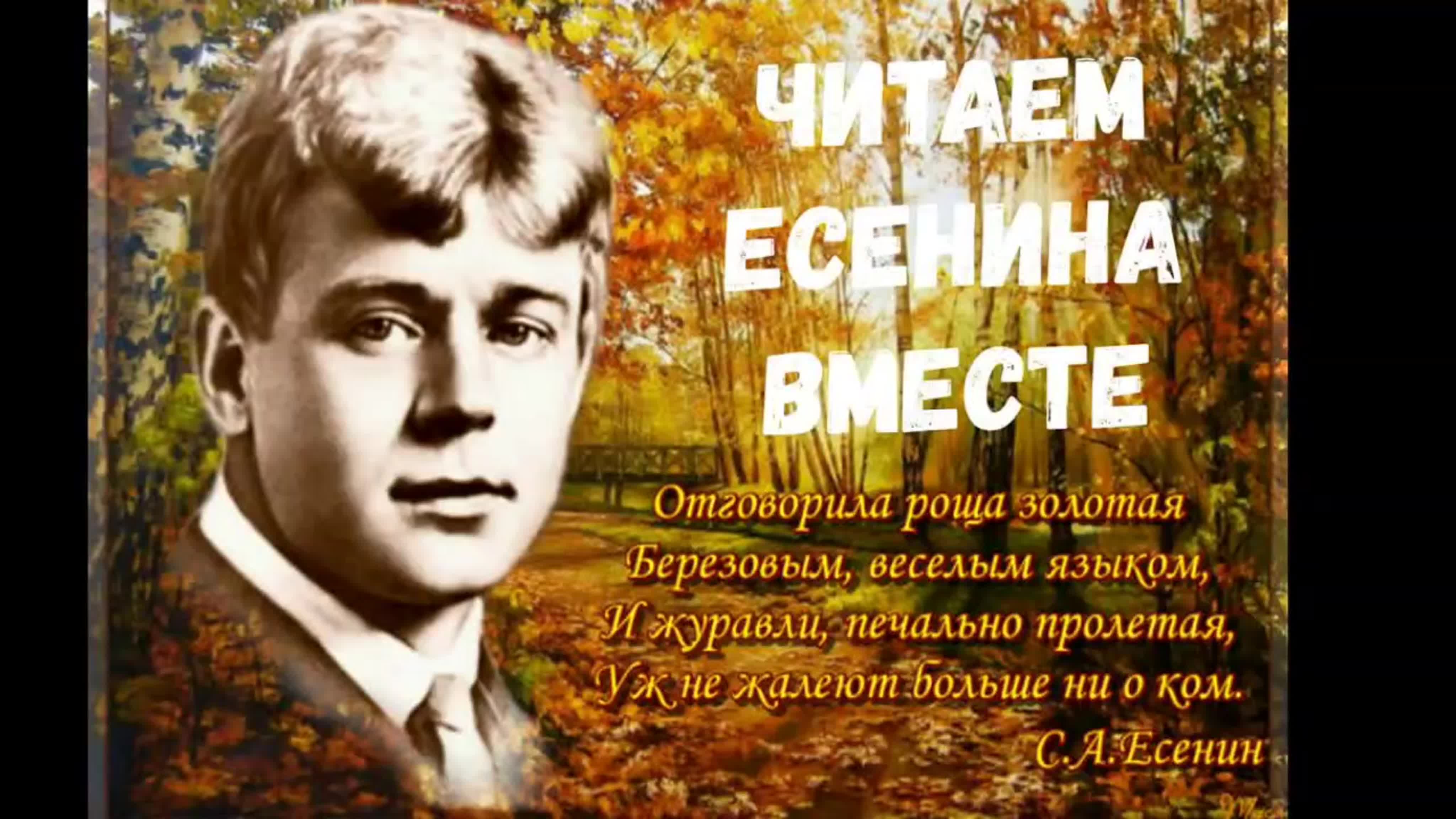 Стихи есенина с днем рождения. Сергей Есенин Отговорила роща. Есенин Березовая роща.