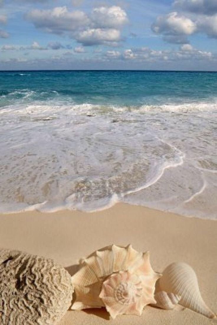 море песок красивые