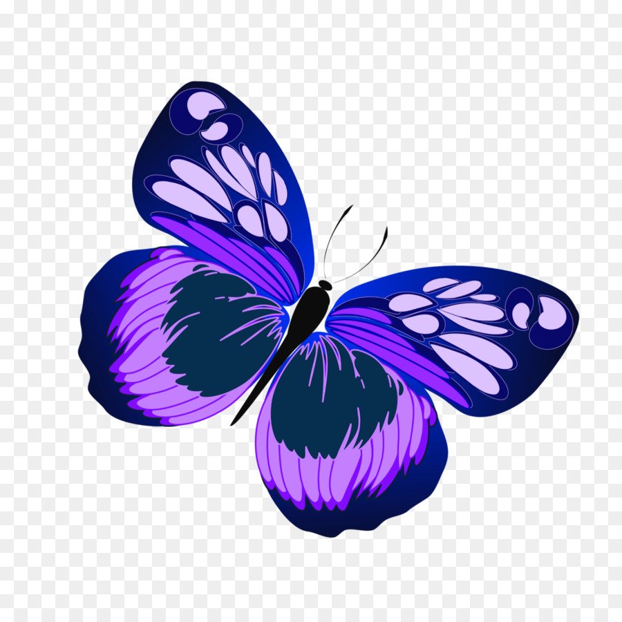 Цветные бабочки для печати