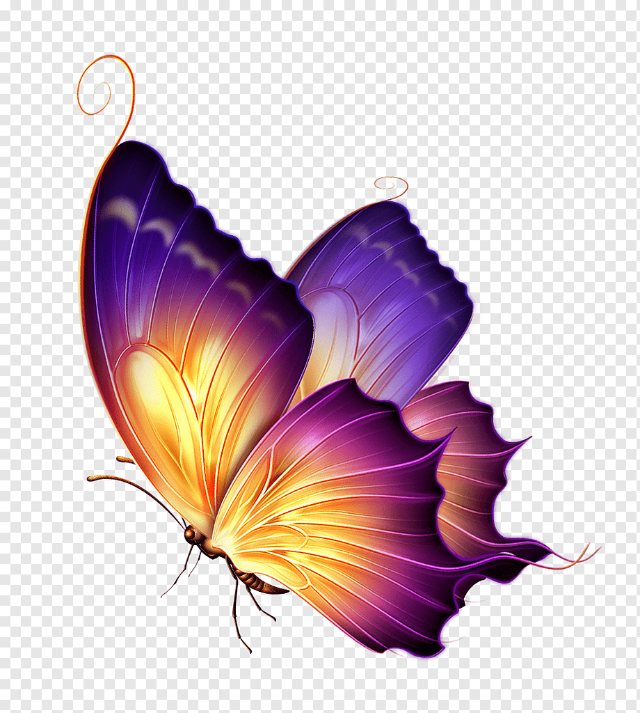 Бабочки сиренево фиолетовые