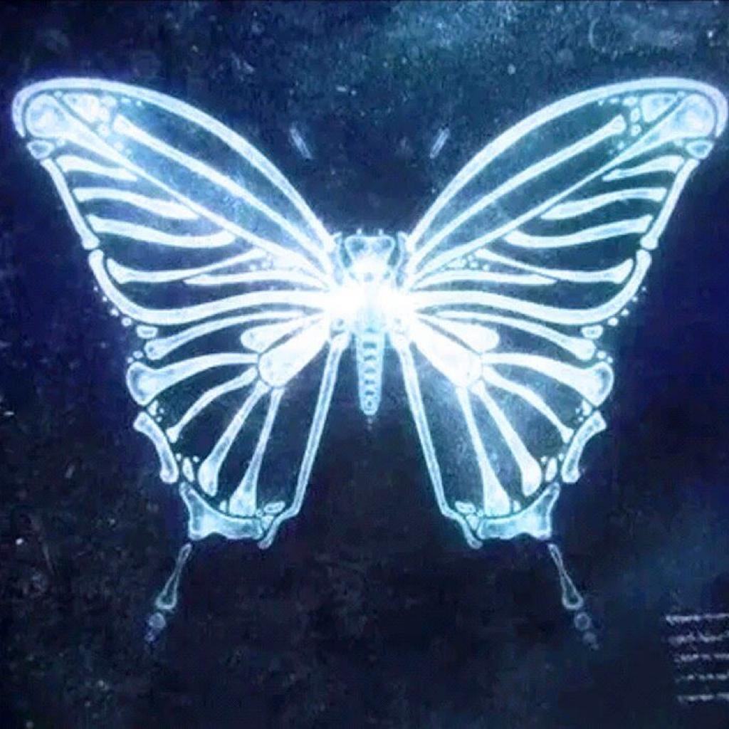 Рентген бабочки