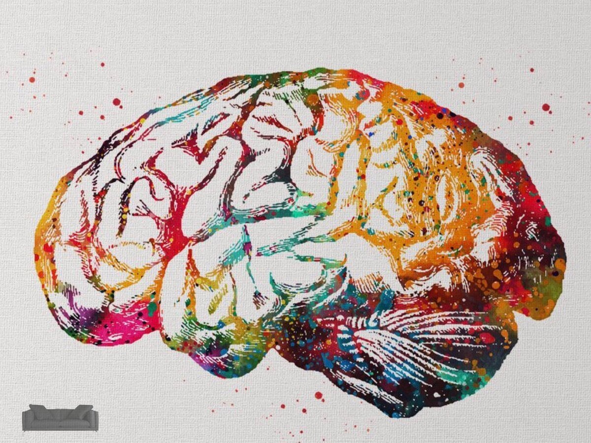 Мозг арт