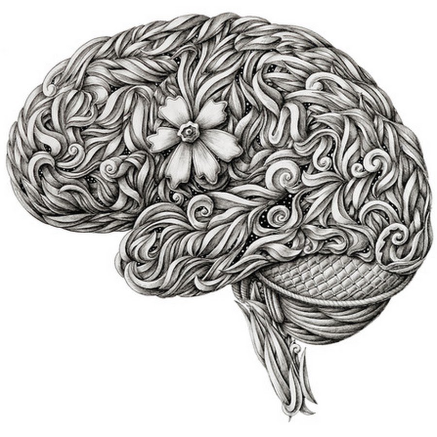 Мозг человека гравюра