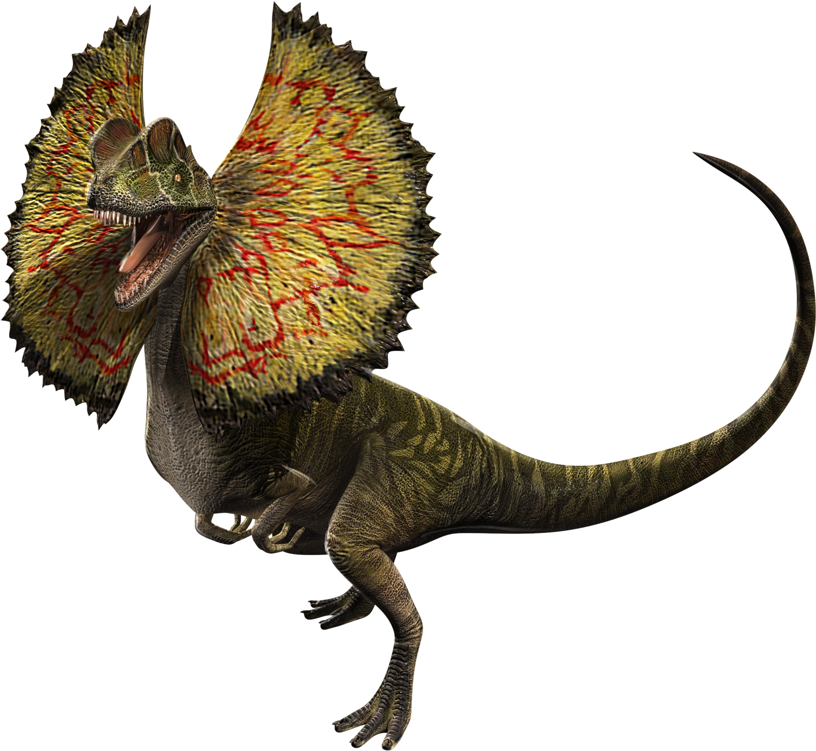 Dilophosaurus. Дилофозавр парк Юрского периода. Дилофозавр мир Юрского периода. Юрский период Дилофозавр. Парк Юрского периода 1 Дилофозавр.