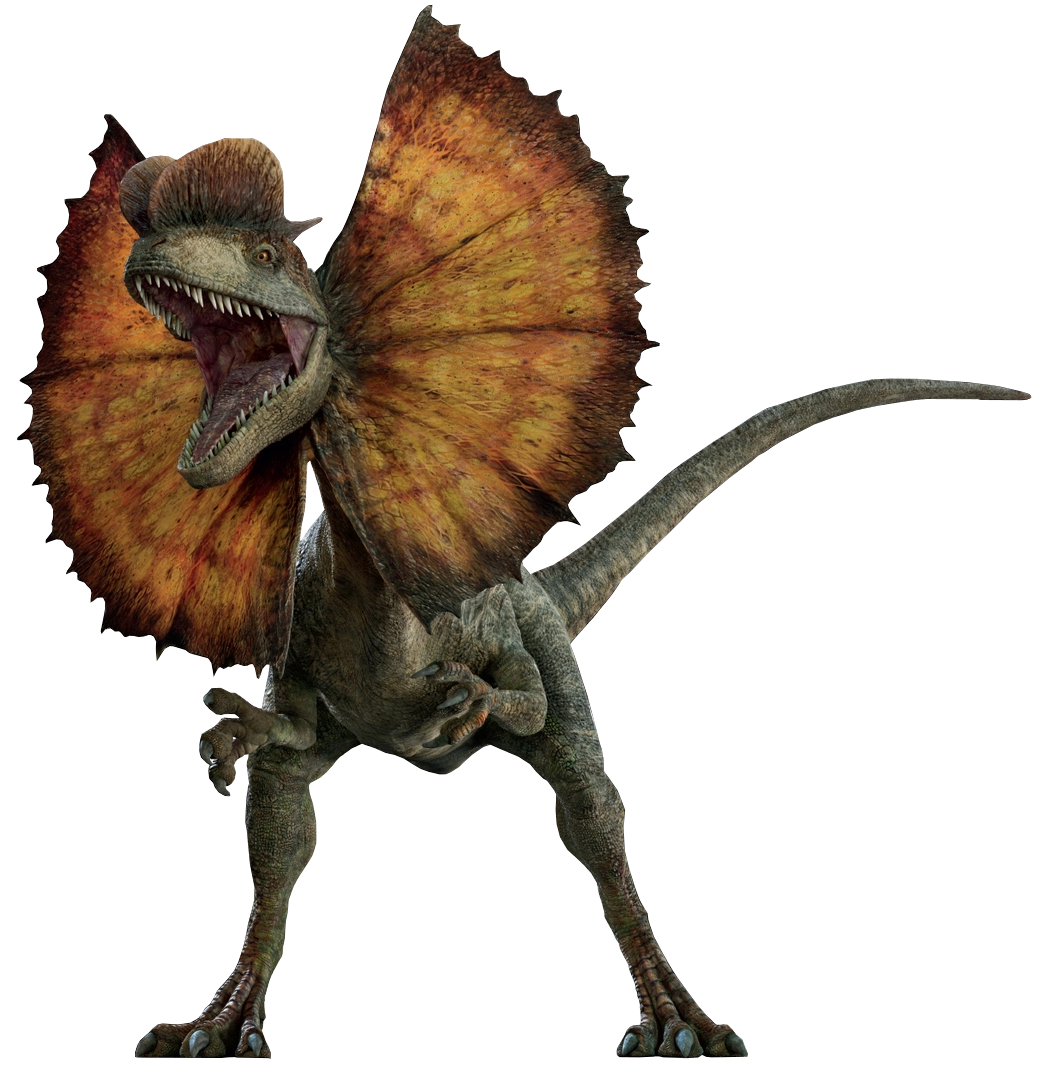 Dilophosaurus. Дилофозавр парк Юрского периода. Парк Юрского периода 1 Дилофозавр. Дилофозавр мир Юрского периода 3. Юрский период Дилофозавр.