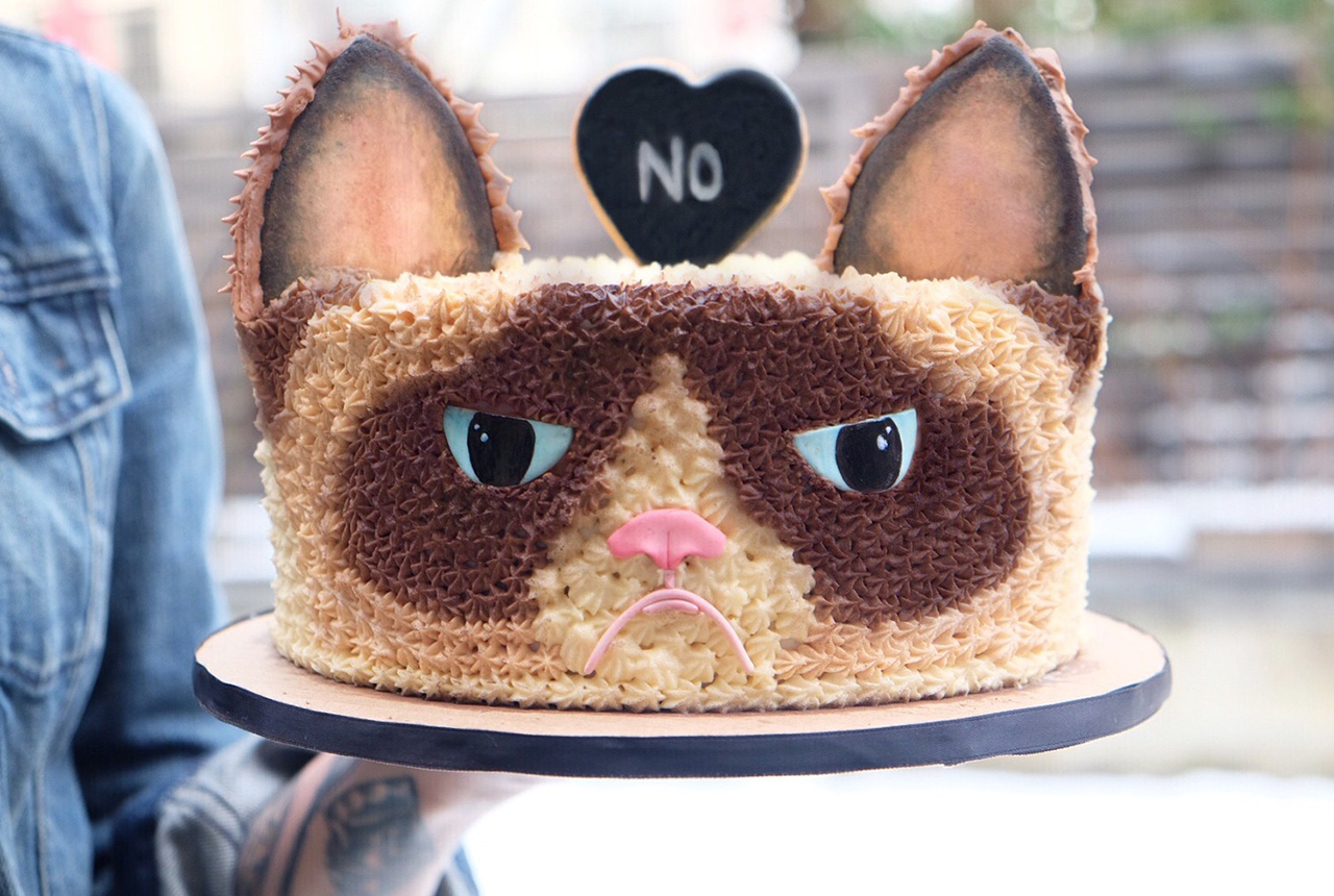 Можно ли котам торт