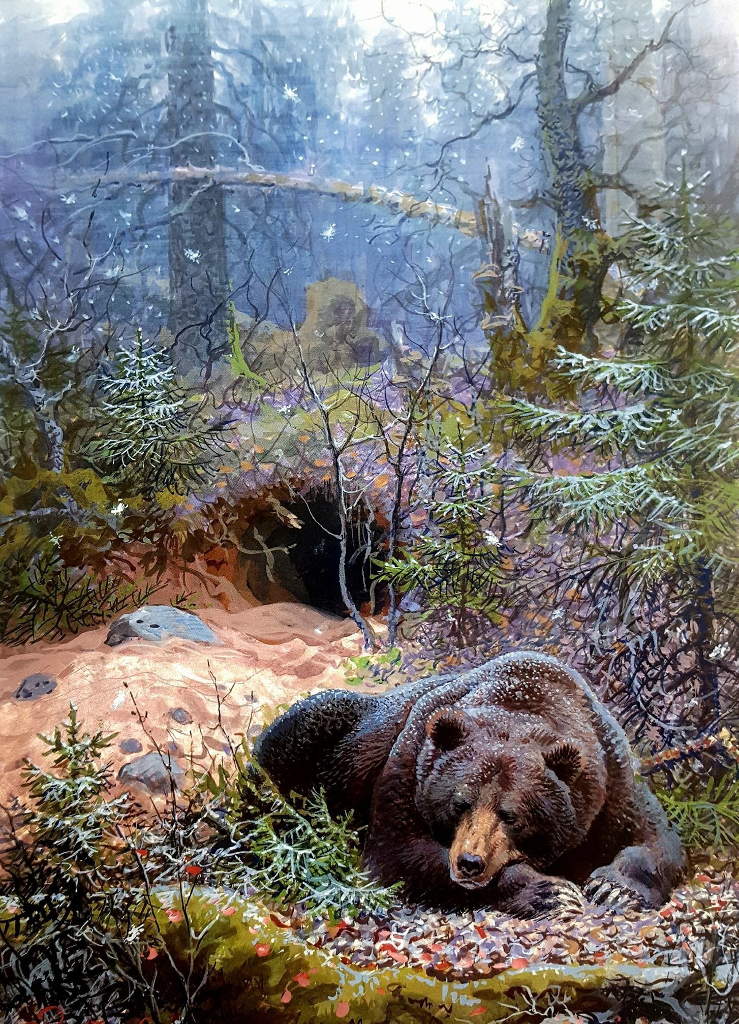 Bears live in forests. Горбатов художник анималист.