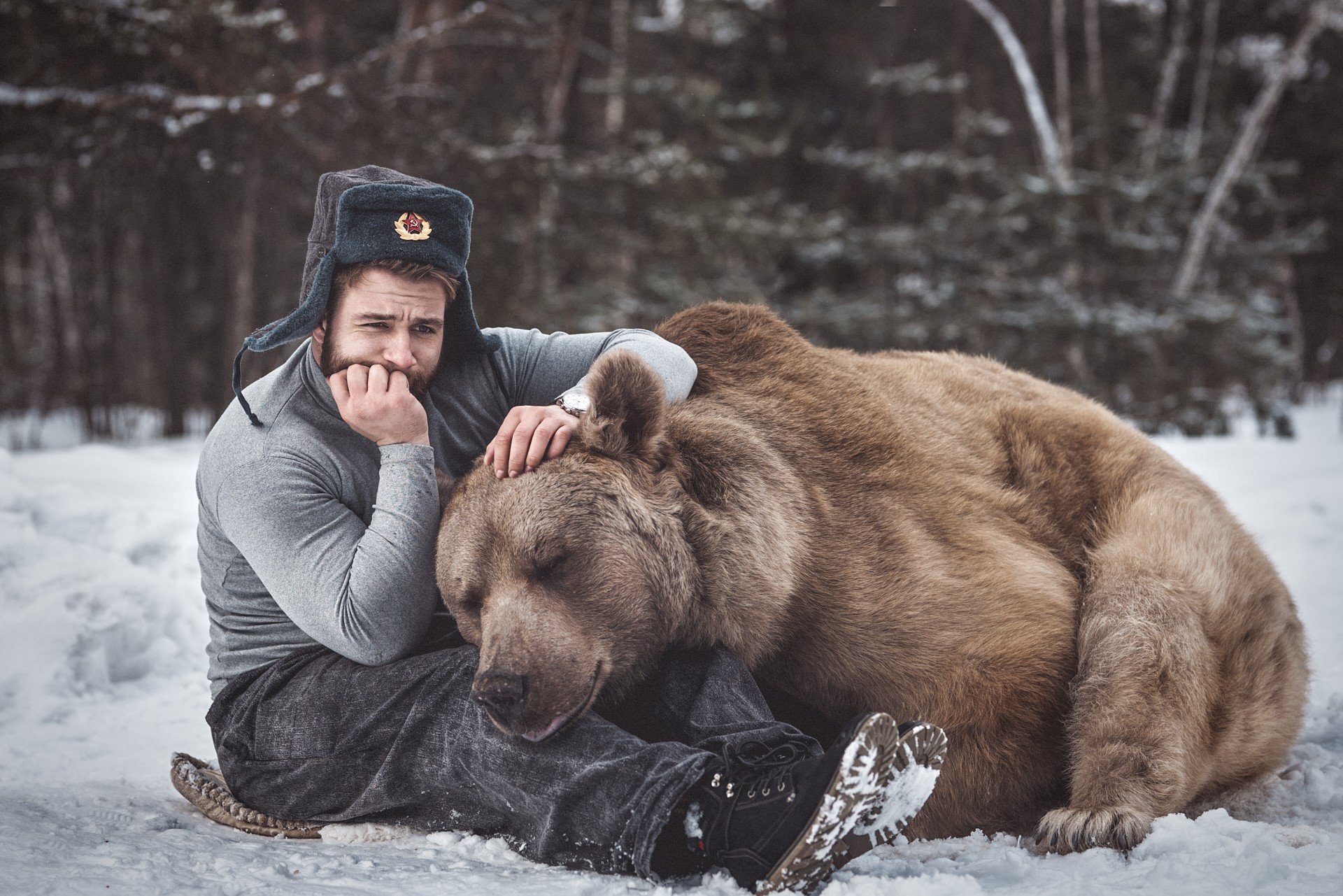 Медведь В Обнимку С Человеком