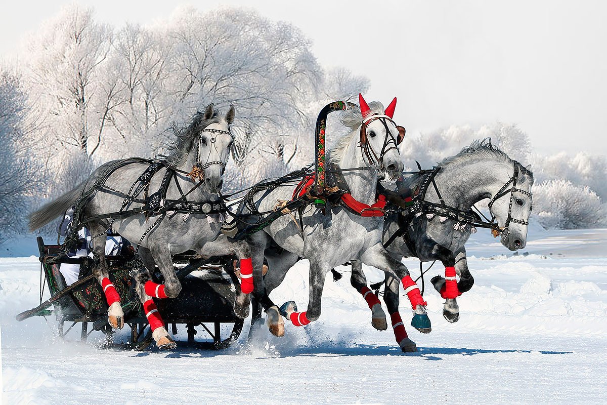 Русская тройка фото