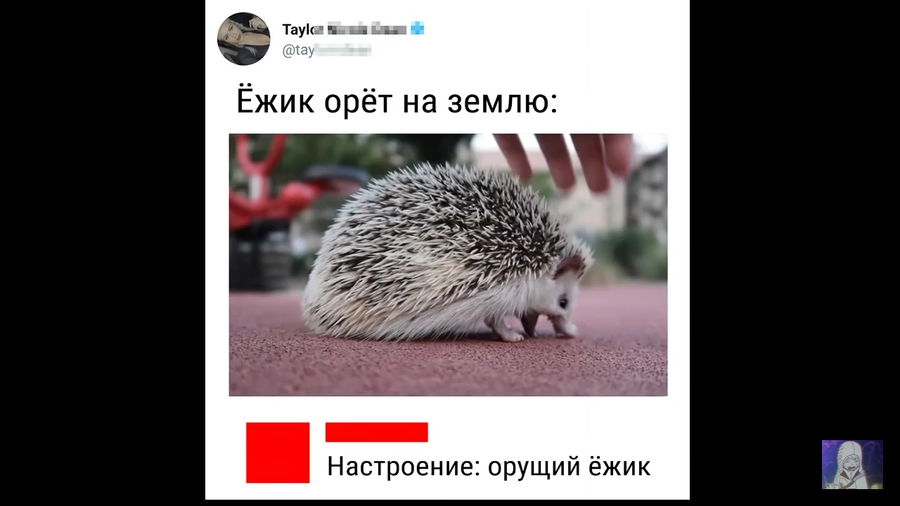 Земля в ежах