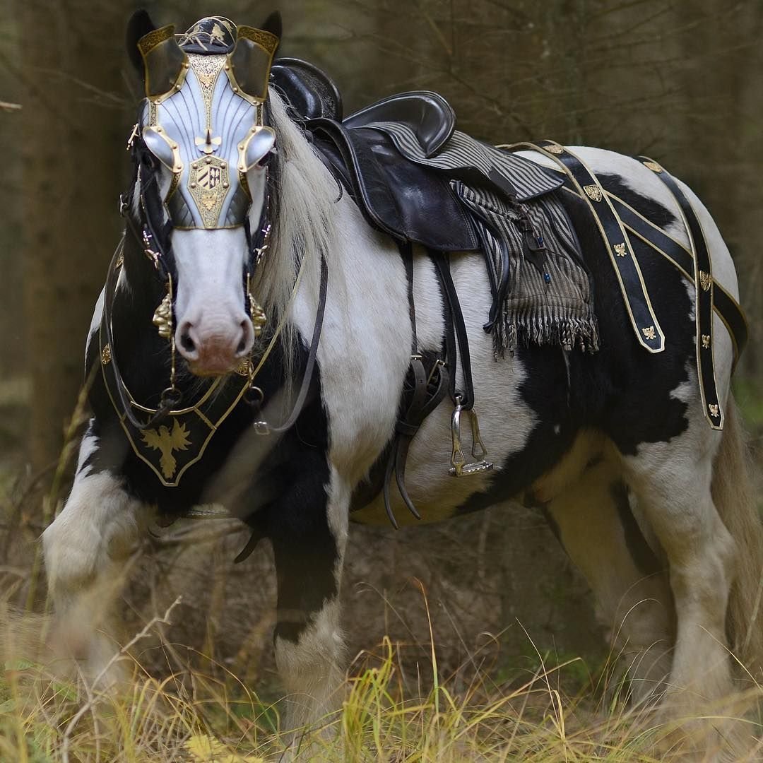 Шайр- Рыцарский конь