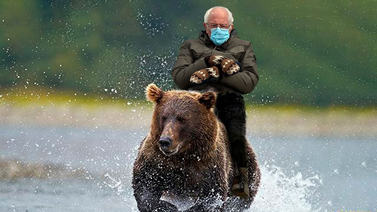 Фото путин на медведе верхом