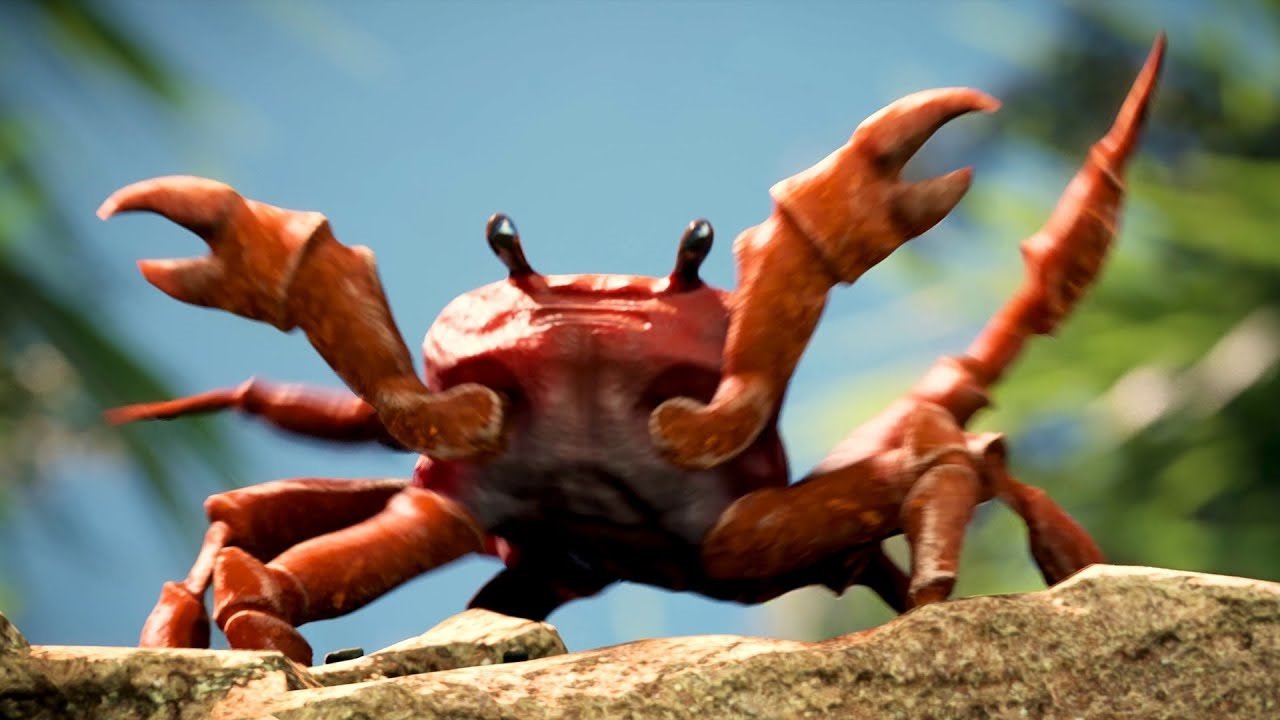 Песня crabs. Танцующие Крабы. Краб танцует. Краб рейв. Танец краба.