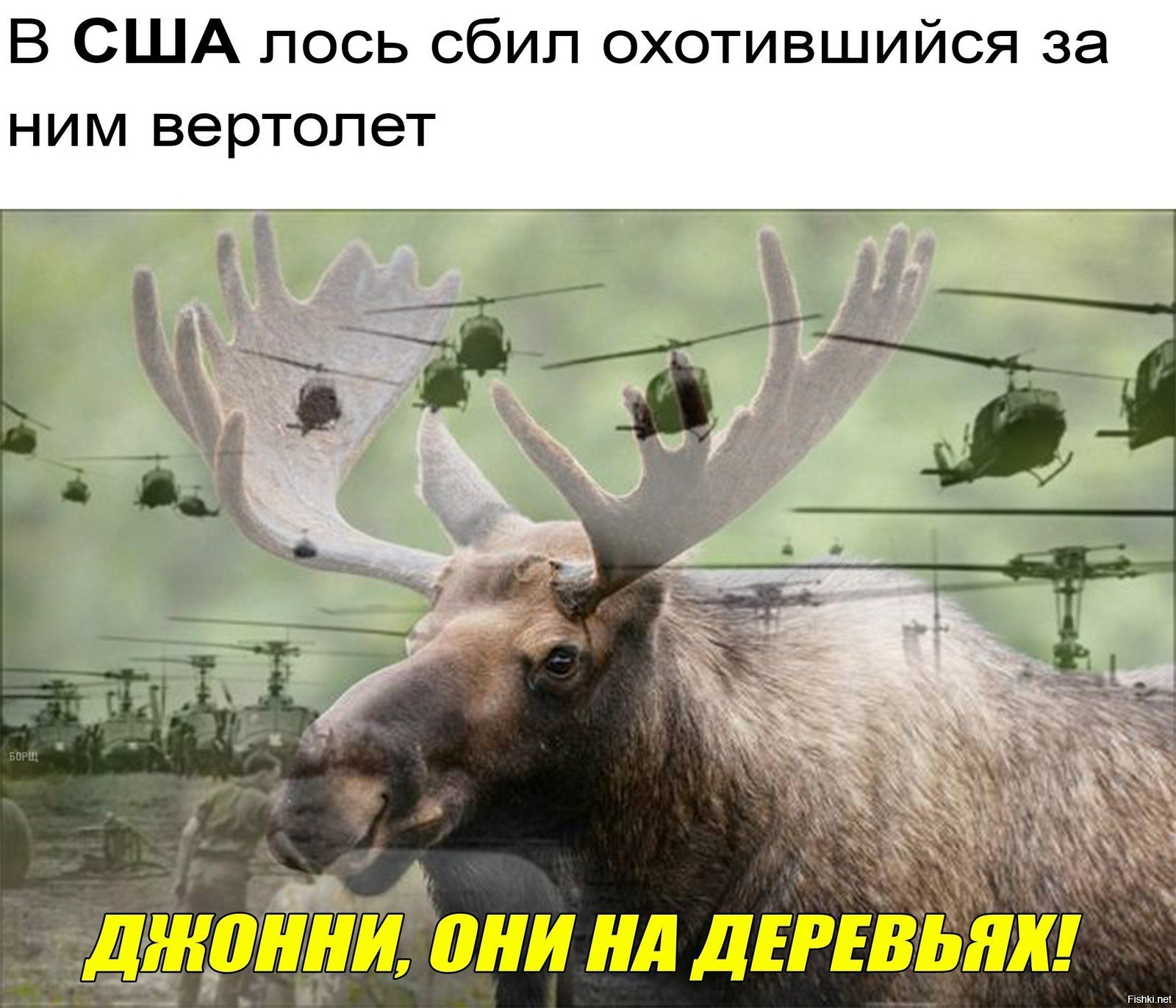 Уда лось