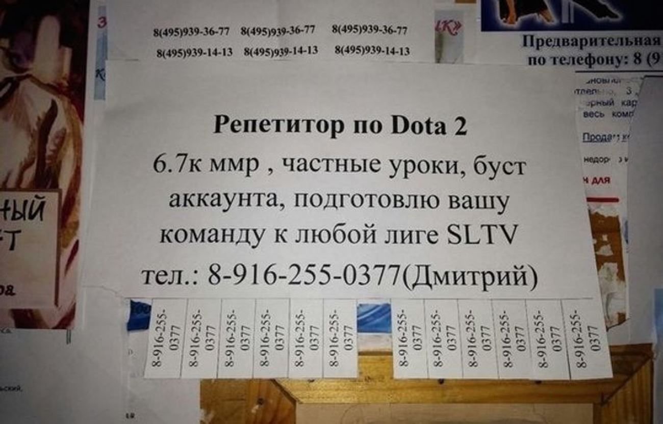 48 объявлений. Объявление о репетиторстве. Смешные объявления образцы. Смешные объявления о репетиторстве. Репетитор объявление образец.