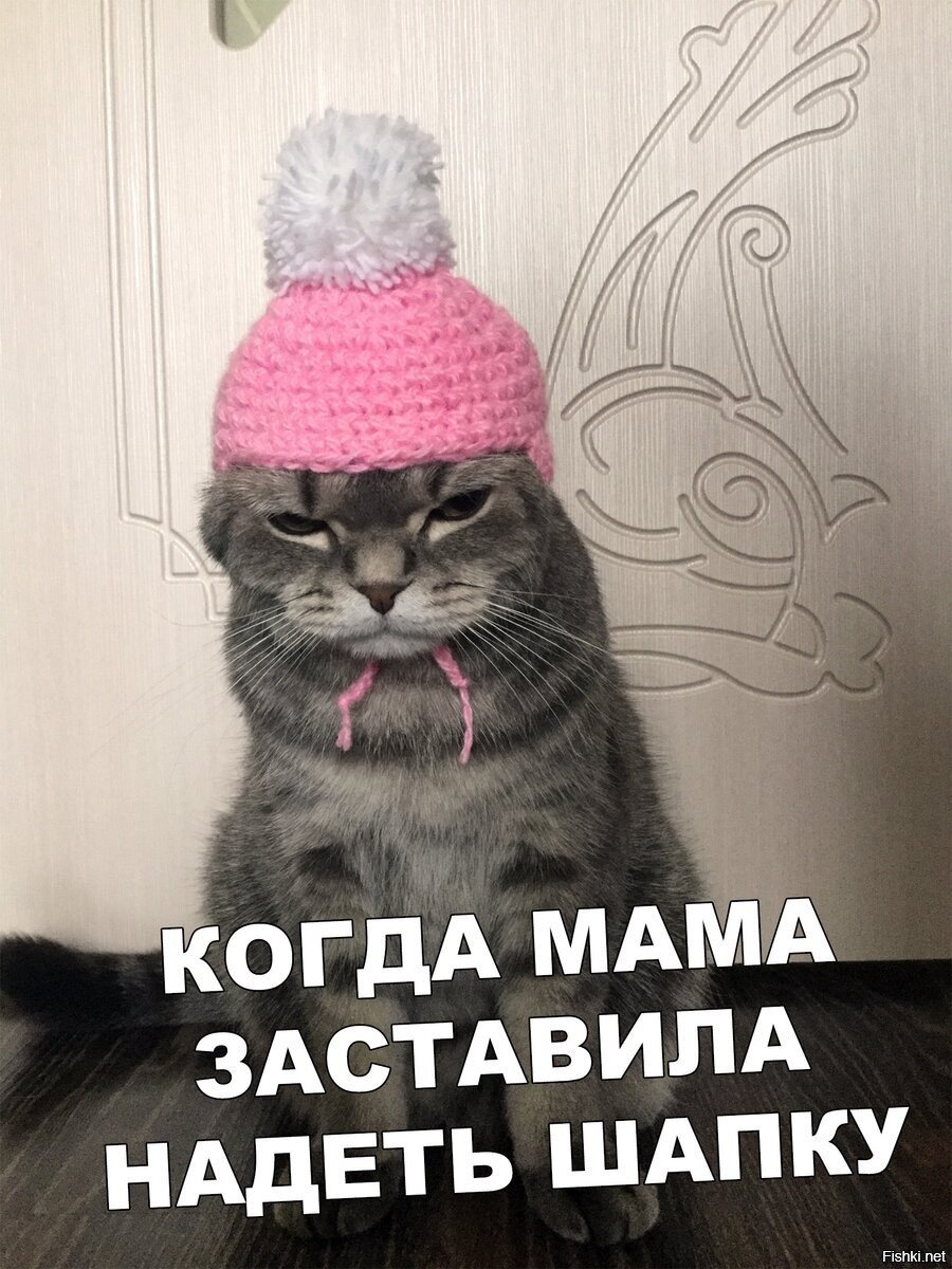 Одеть шапку