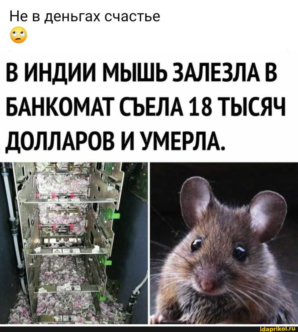 Жадность фраера погубит