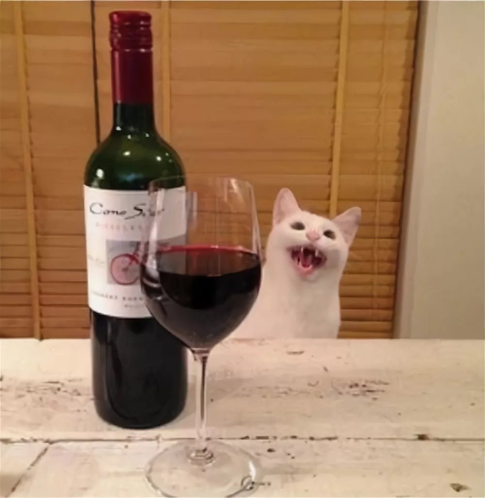 Котик с вином