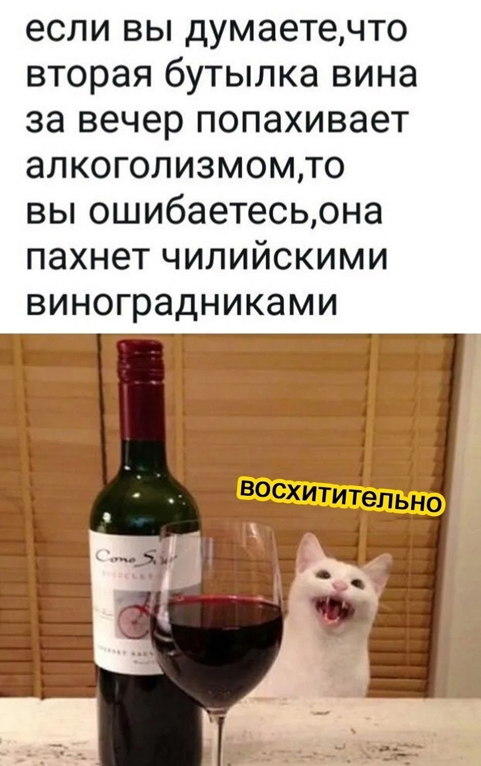 Смешные мемы про вино