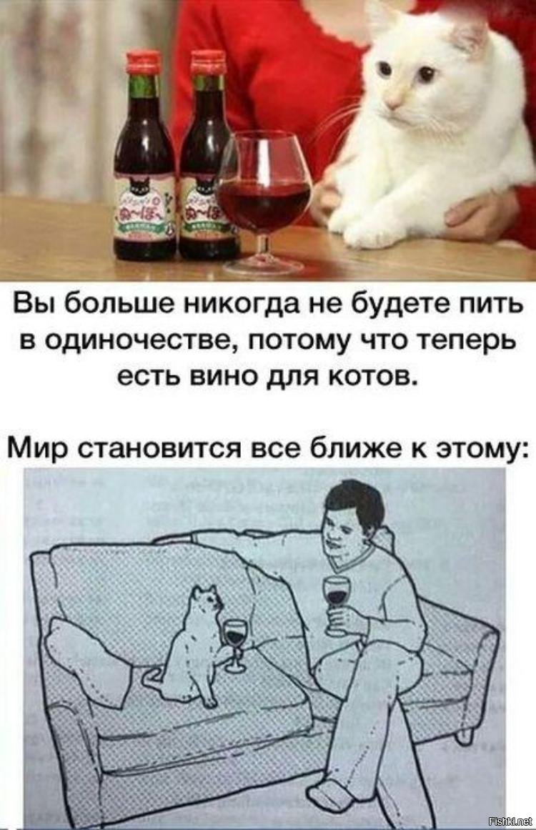 Вино для котов