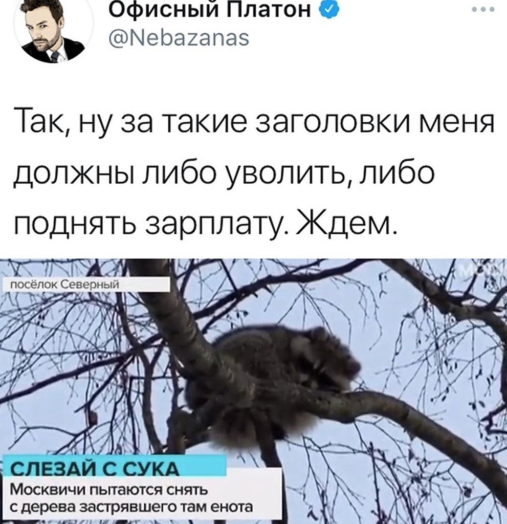 Шутки про социальные сети