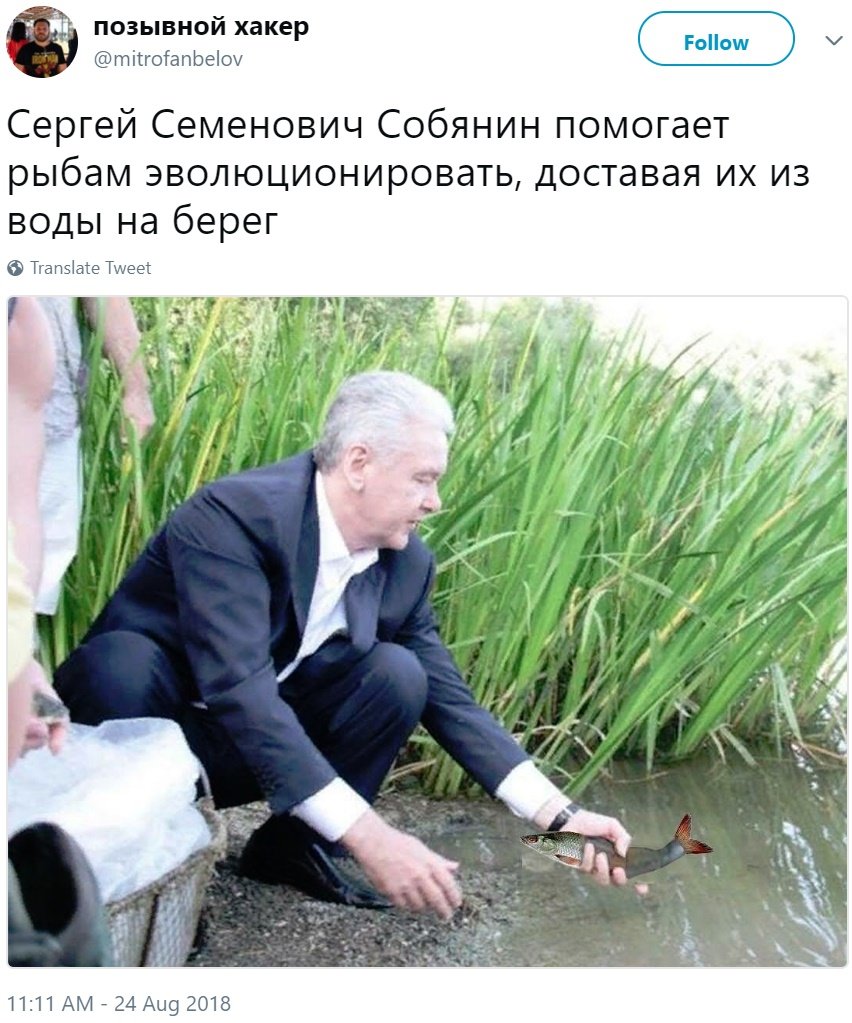 Мемы про Собянина