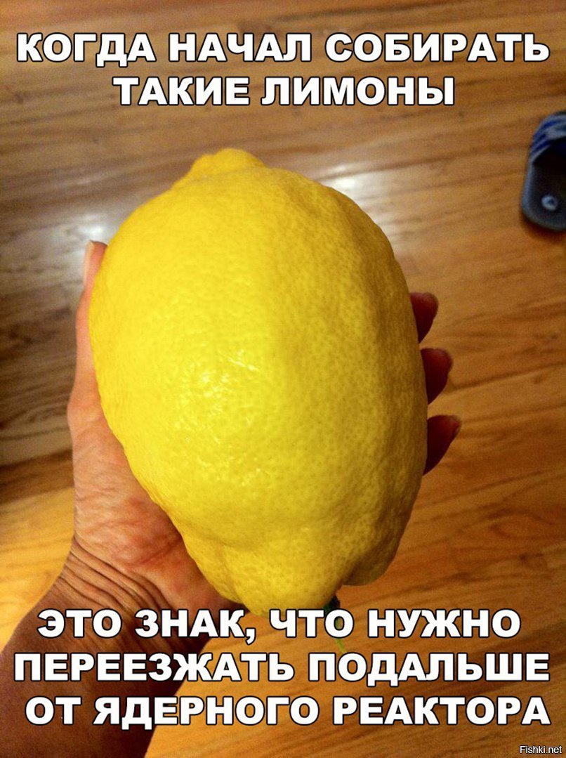 Шутки про лимон