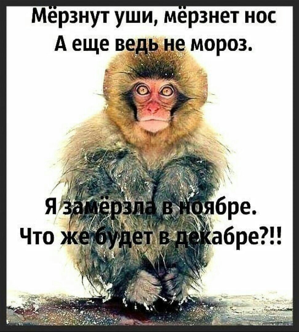 Холод работа юмор