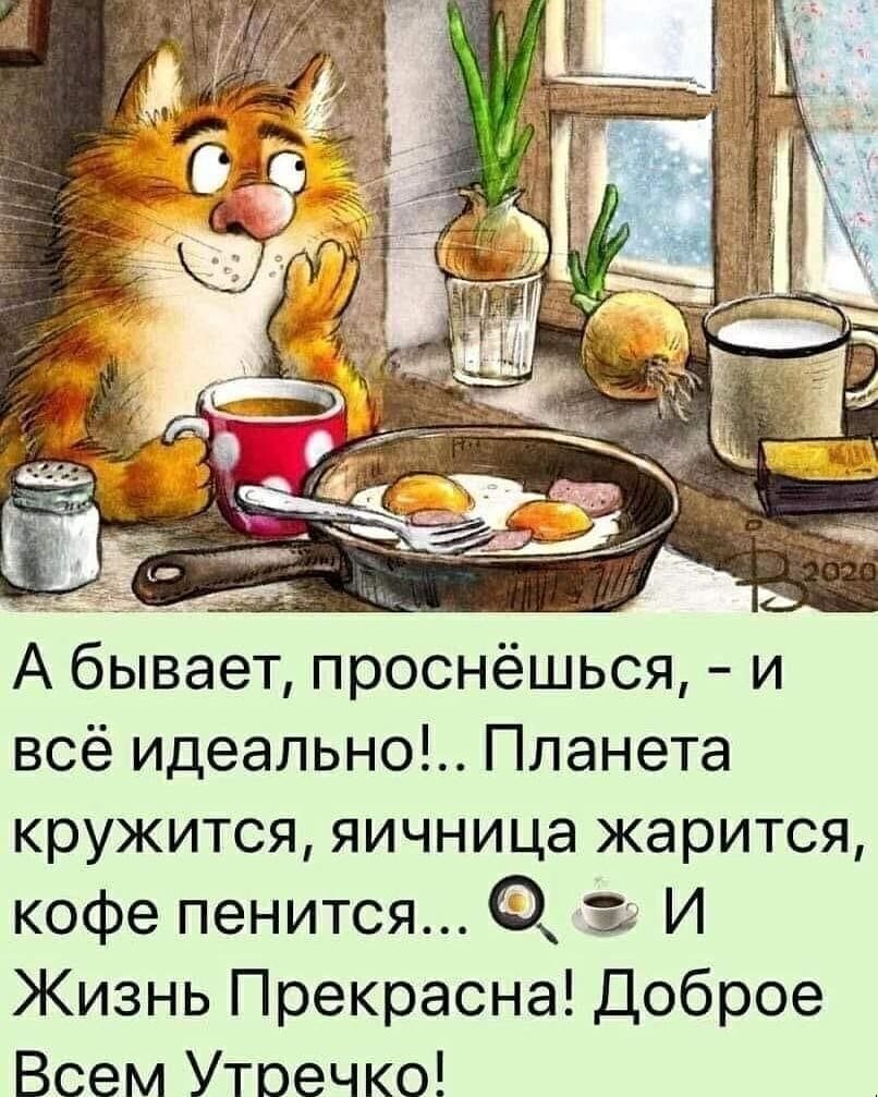 Доброе утро юмор