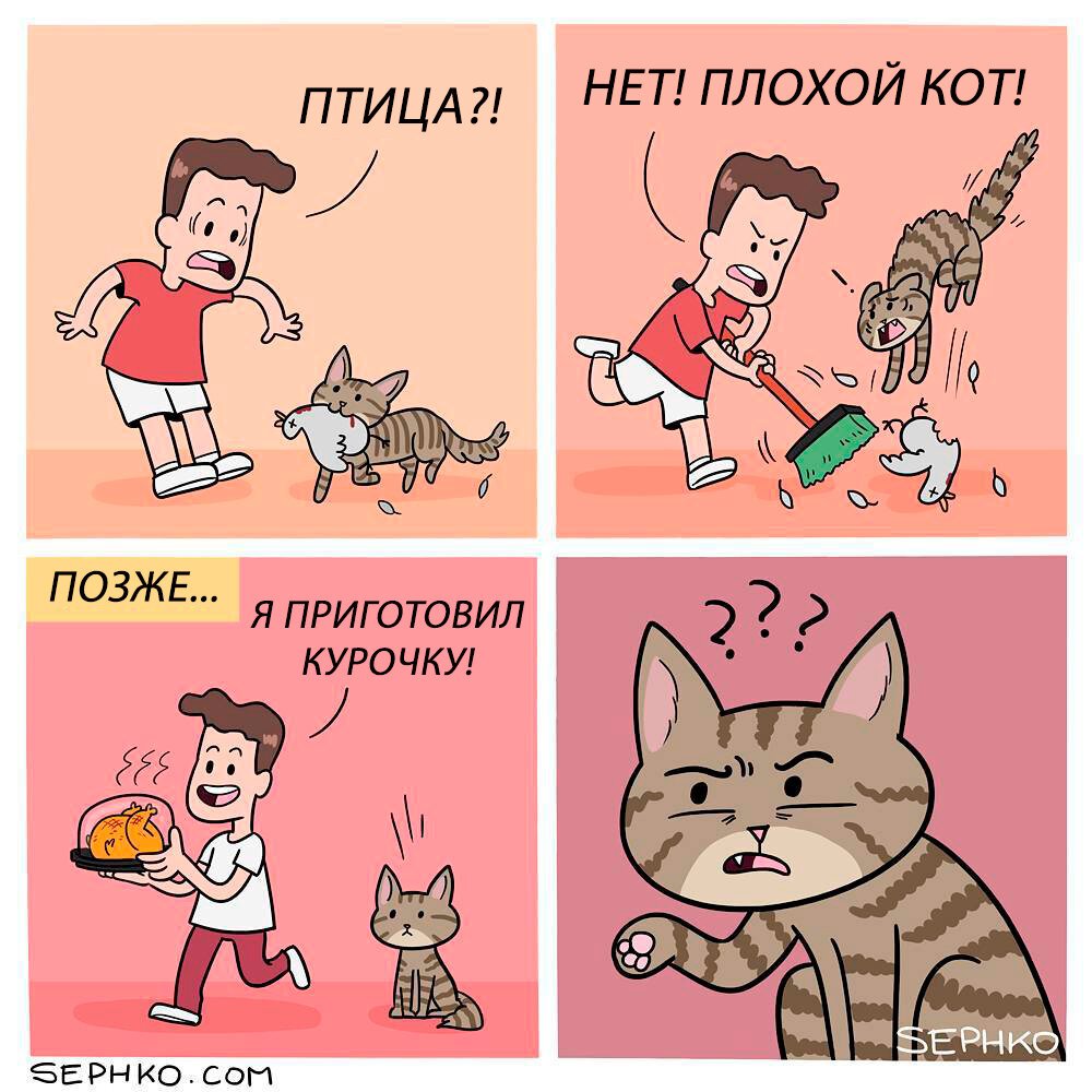 Смешные мемы с котами