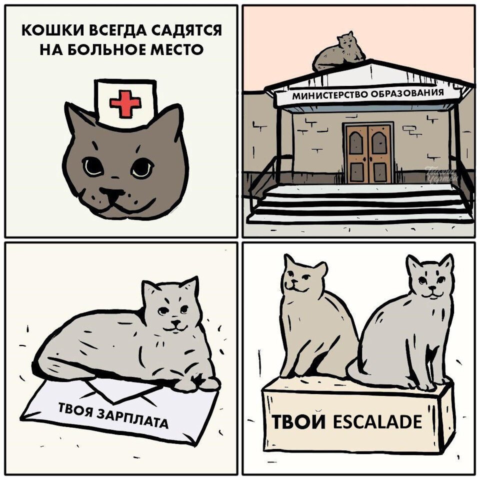 Мемы про котов