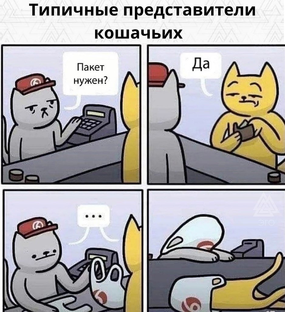 Кот пакет нужен