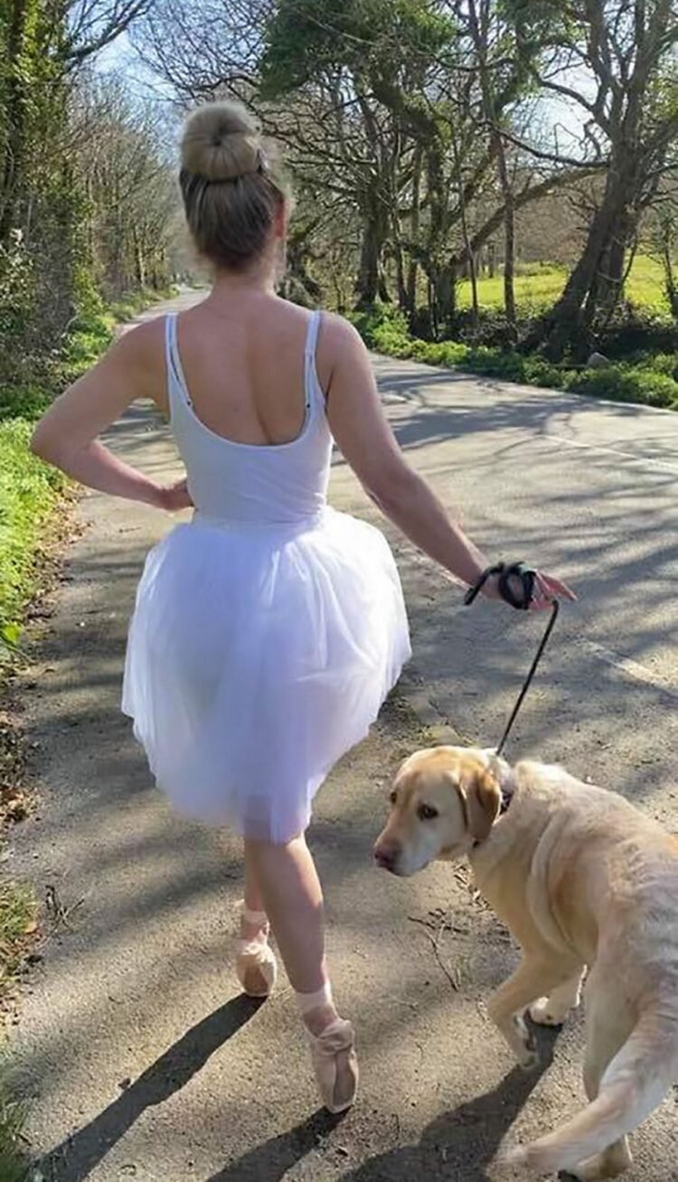 Гуляем с белой. Утренняя прогулка с собакой. Дама выгуливает собаку смешные. Гулять с собакой юмор. Женщина выгуливает собаку.