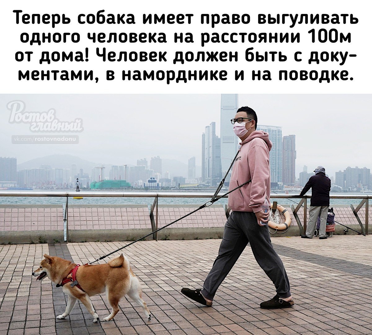 Человек выгуливает собаку