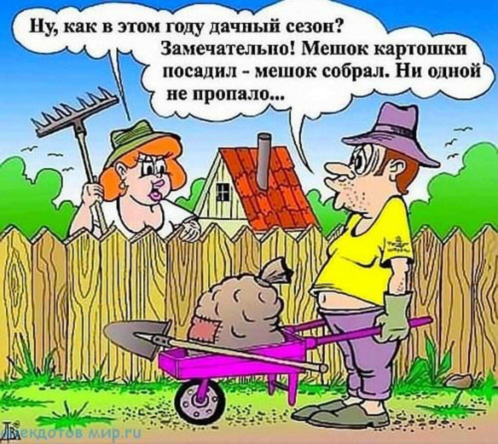 Едем на природу картинки прикольные