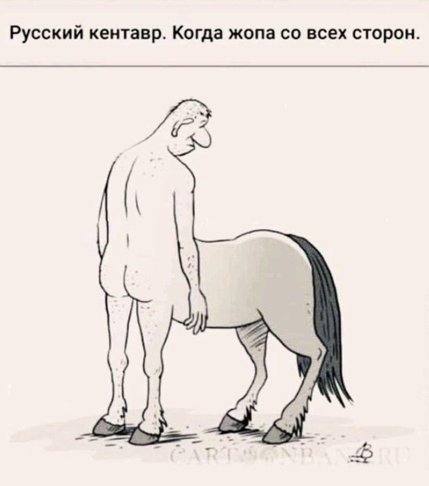 Карикатура с лошадьми